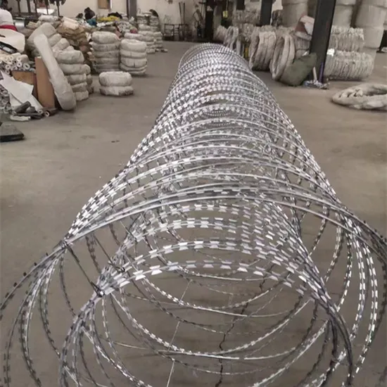 Electro Galvanized Barbed Wire Mesh Razor Barbed Anti