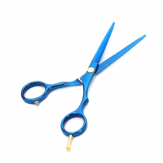 Hot Sale 9cr13 Material 6.0 Inch Silver Gasket Beauty Flat Scissor Fashion Design Barber Scissors Hair Cutting Tool